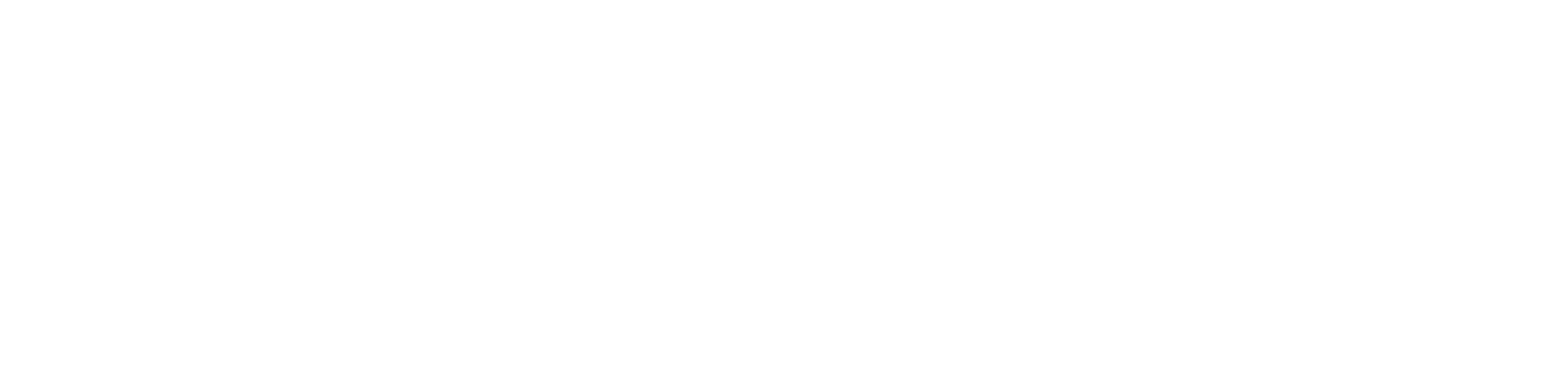 SOITZ PROPERTY